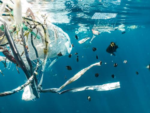 Műanyagot pusztító robothal az óceánok őre